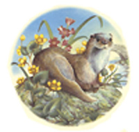 Country Animals Weasel Round